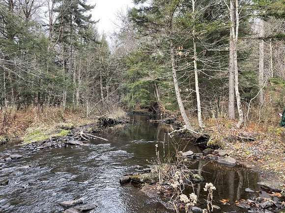 30.3 Acres of Recreational Land for Sale in Lewis Town, New York
