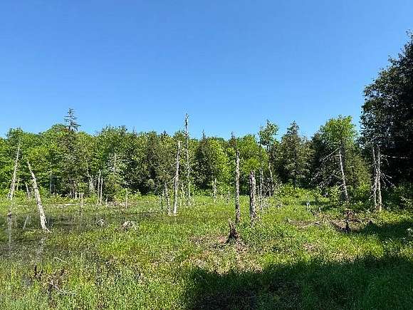 30.3 Acres of Recreational Land for Sale in Lewis Town, New York