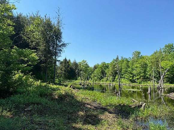 30.3 Acres of Recreational Land for Sale in Lewis Town, New York