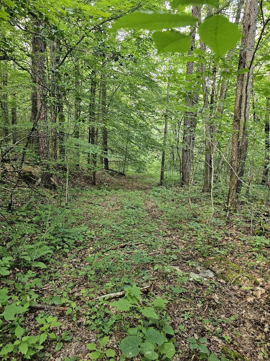 28.7 Acres of Land for Sale in Somerset, Kentucky
