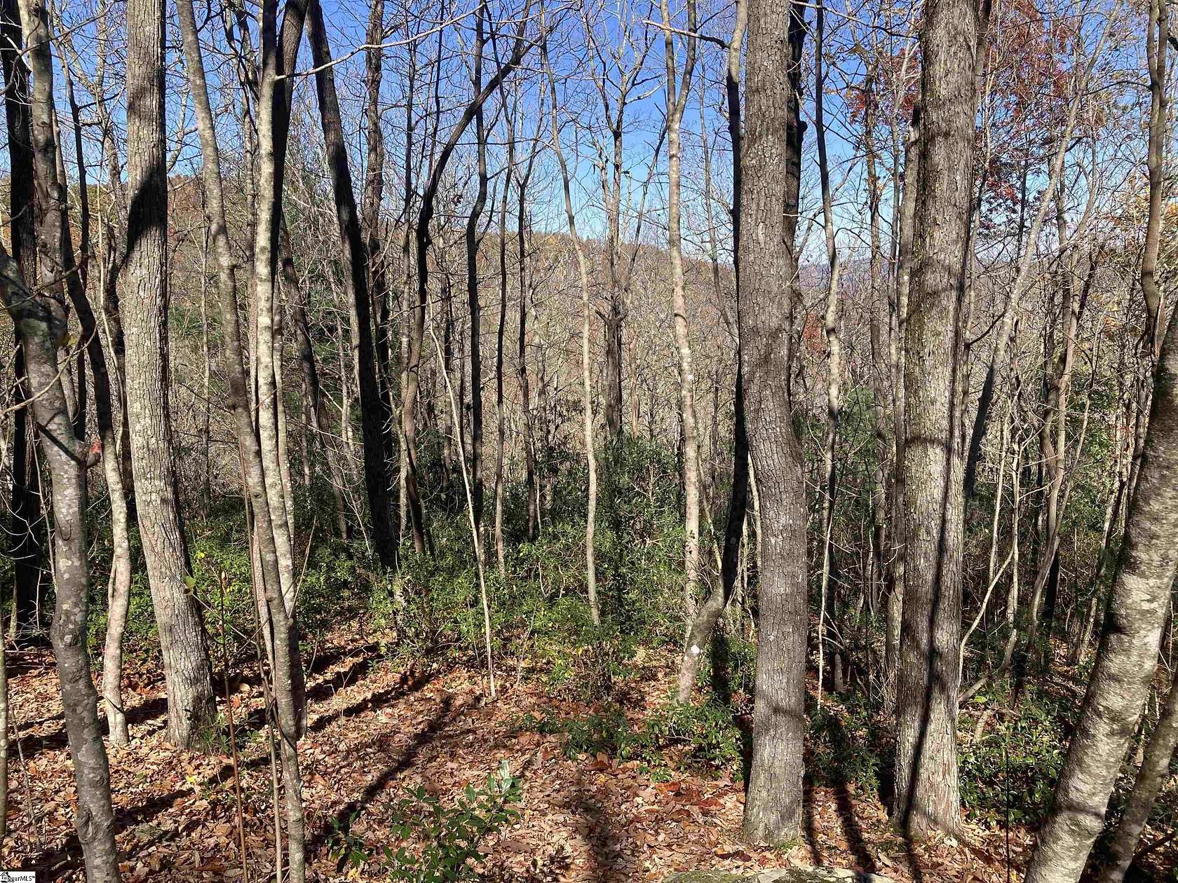 1.7 Acres of Residential Land for Sale in Zirconia, North Carolina