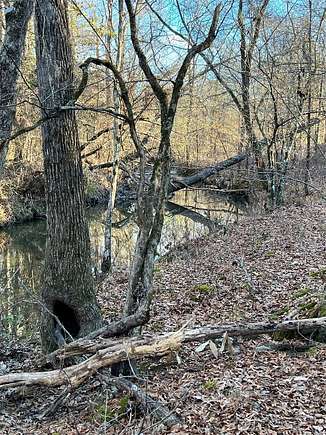 39 Acres of Land for Sale in Broken Bow, Oklahoma