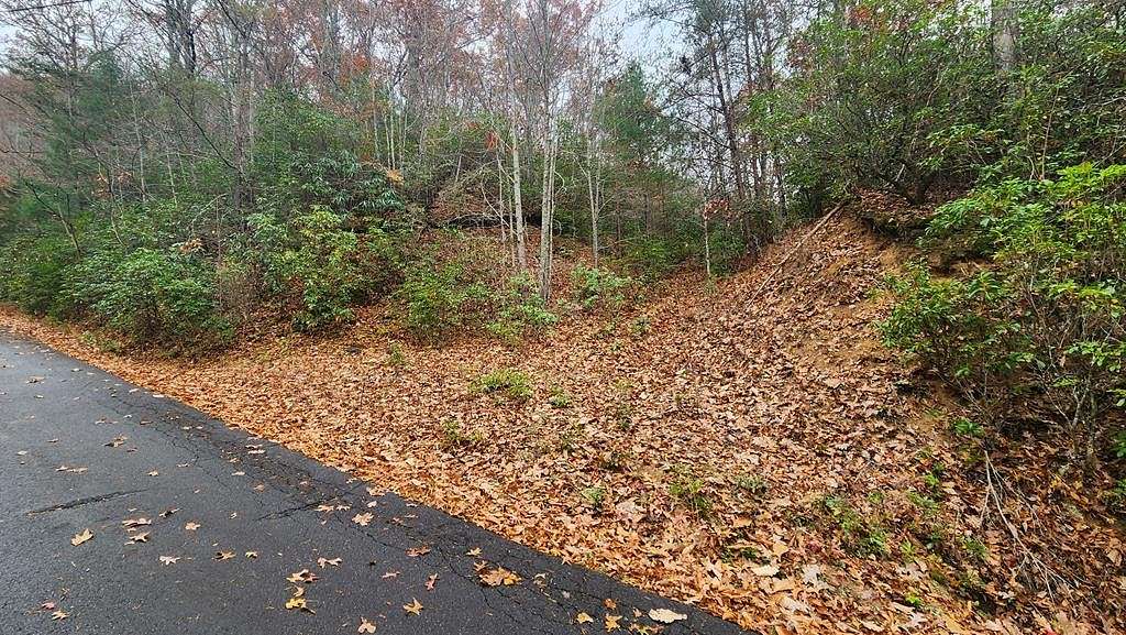 1.3 Acres of Residential Land for Sale in Franklin, North Carolina