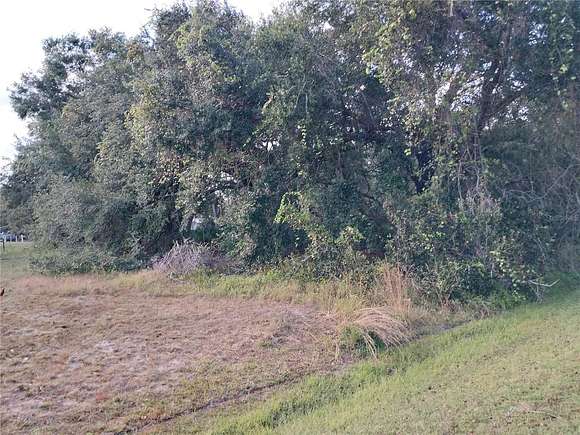 0.45 Acres of Residential Land for Sale in Kenansville, Florida
