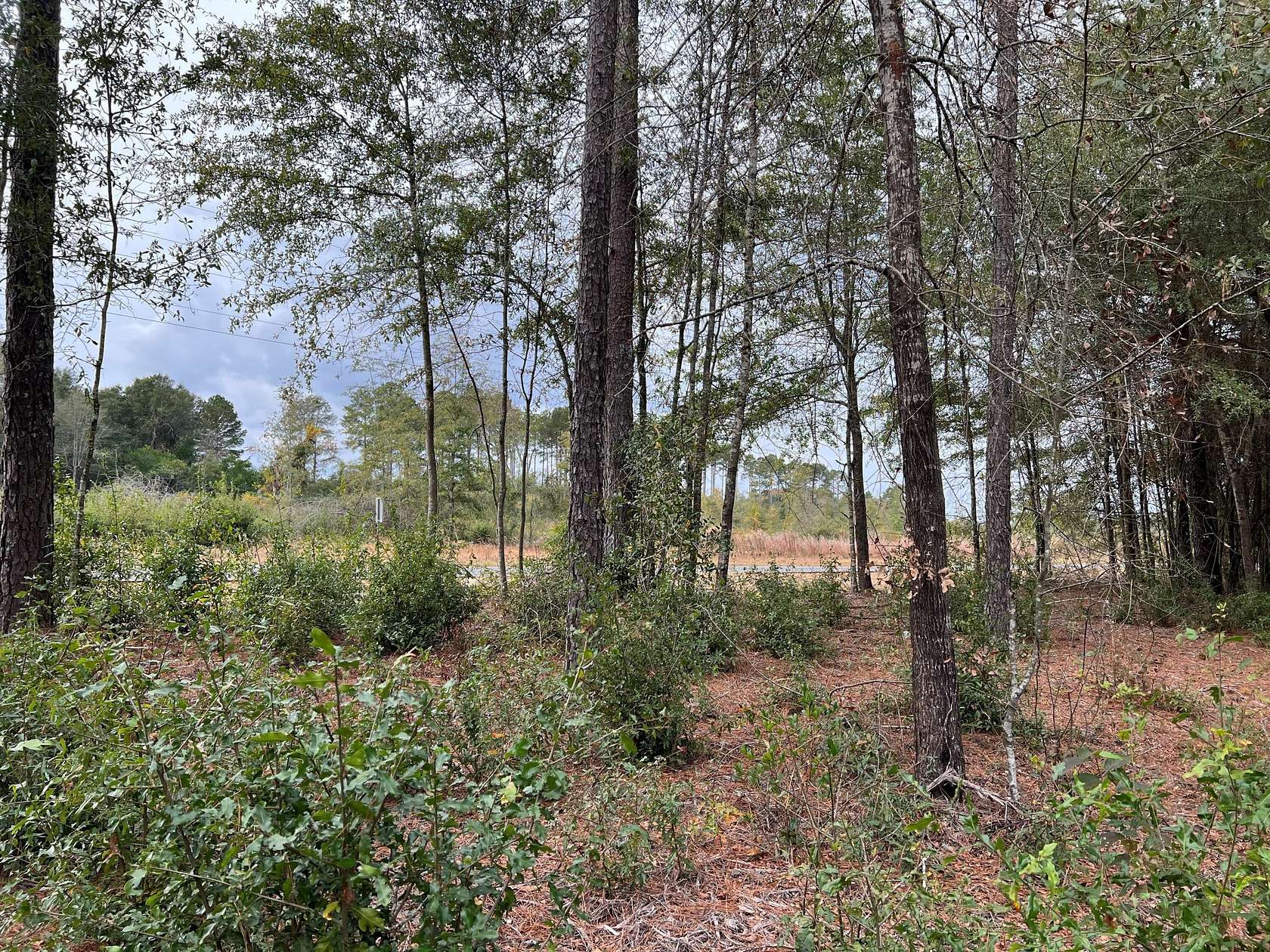 2.5 Acres of Land for Sale in Salley, South Carolina