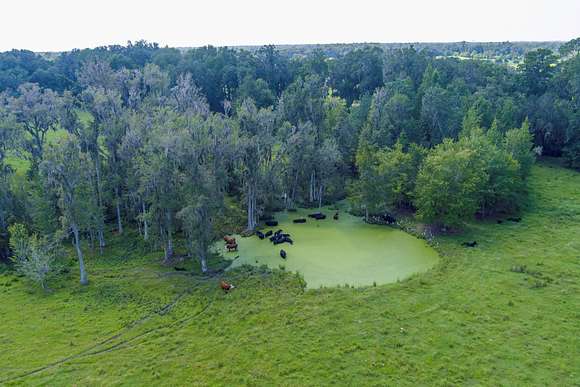 58.1 Acres of Recreational Land & Farm for Sale in Jasper, Florida