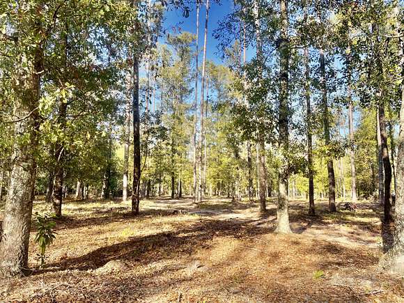 8 Acres of Residential Land for Sale in Ruffin, South Carolina
