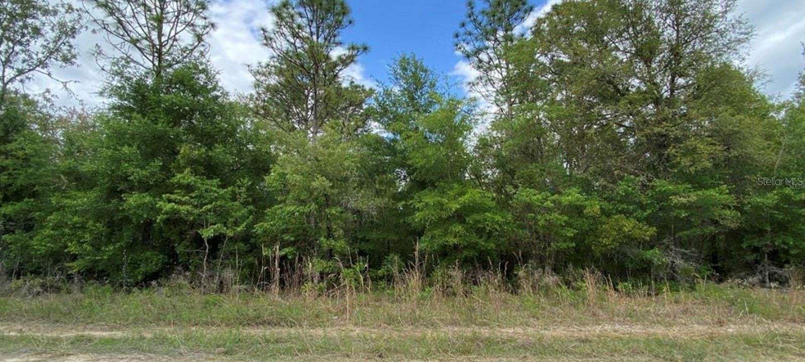 0.42 Acres of Residential Land for Sale in Williston, Florida