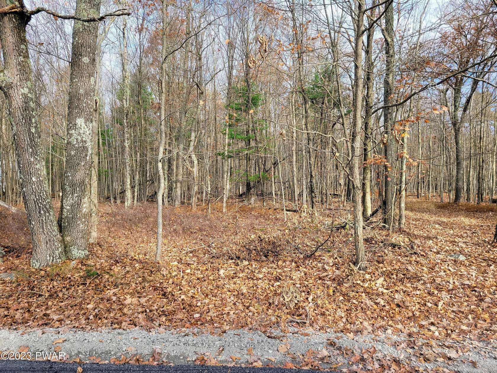 1 Acre of Land for Sale in Tafton, Pennsylvania