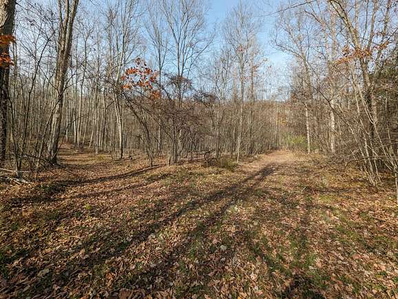 67.1 Acres of Recreational Land & Farm for Sale in Campbell, New York