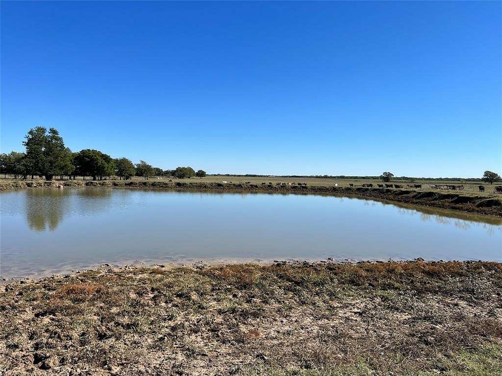 20 Acres of Agricultural Land for Sale in Honey Grove, Texas