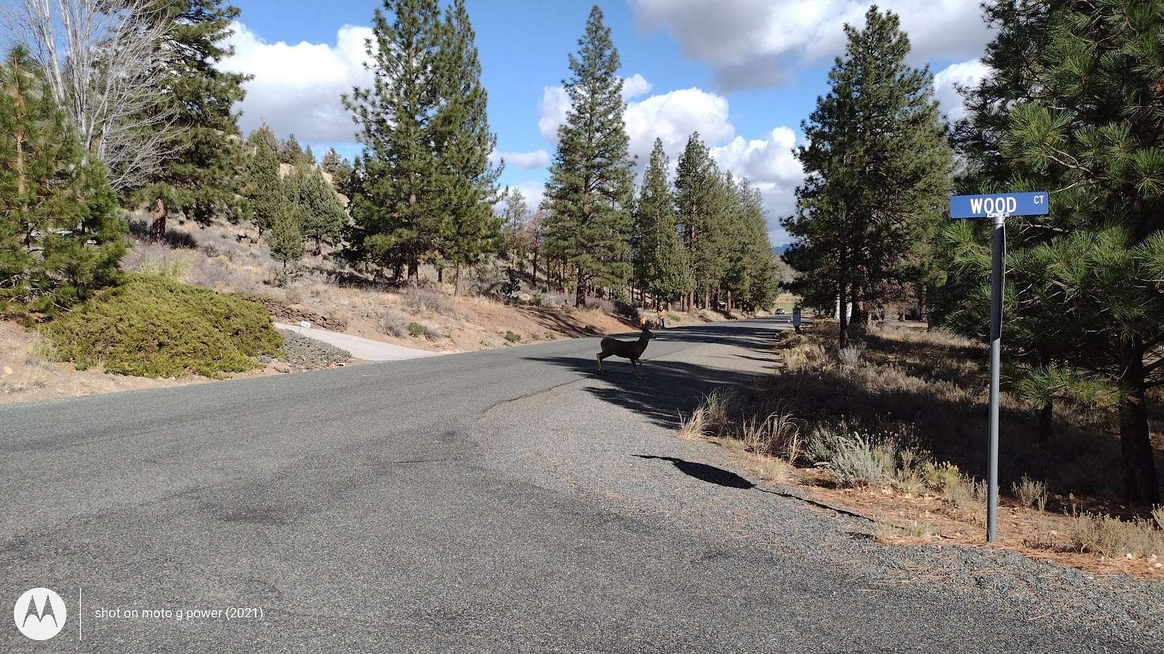 0.24 Acres of Residential Land for Sale in Weed, California