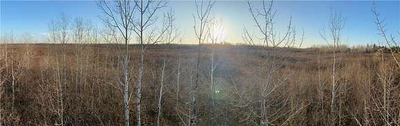 320 Acres of Recreational Land for Sale in Cotton Township, Minnesota