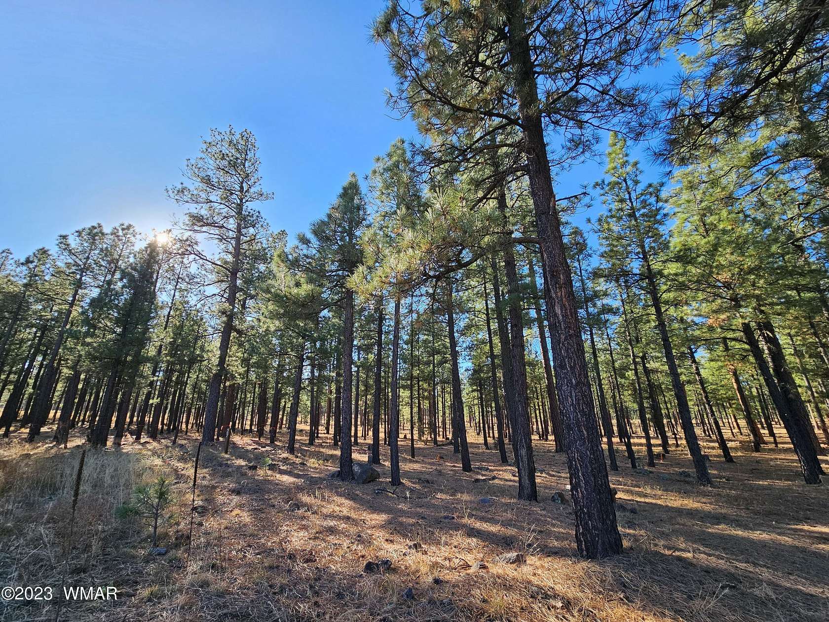 1 Acre of Residential Land for Sale in Pinetop, Arizona