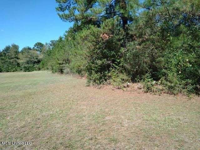18.67 Acres of Land for Sale in Lumberton, Mississippi