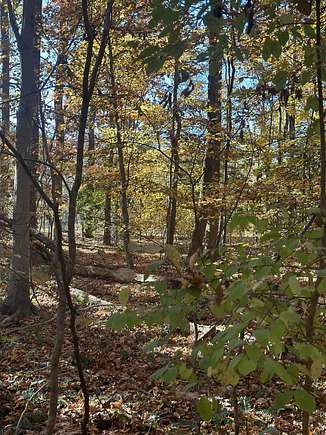 4.7 Acres of Residential Land for Sale in Henderson, North Carolina