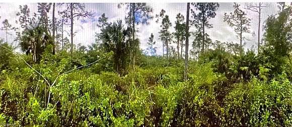 1.14 Acres of Residential Land for Sale in Naples, Florida