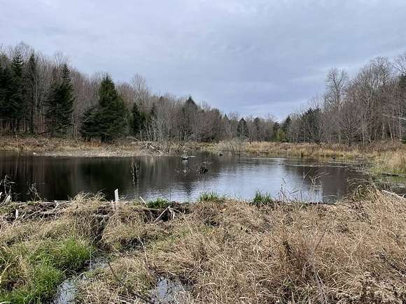 31.2 Acres of Recreational Land for Sale in Lewis Town, New York