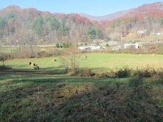 21.8 Acres of Land for Sale in Sylva, North Carolina