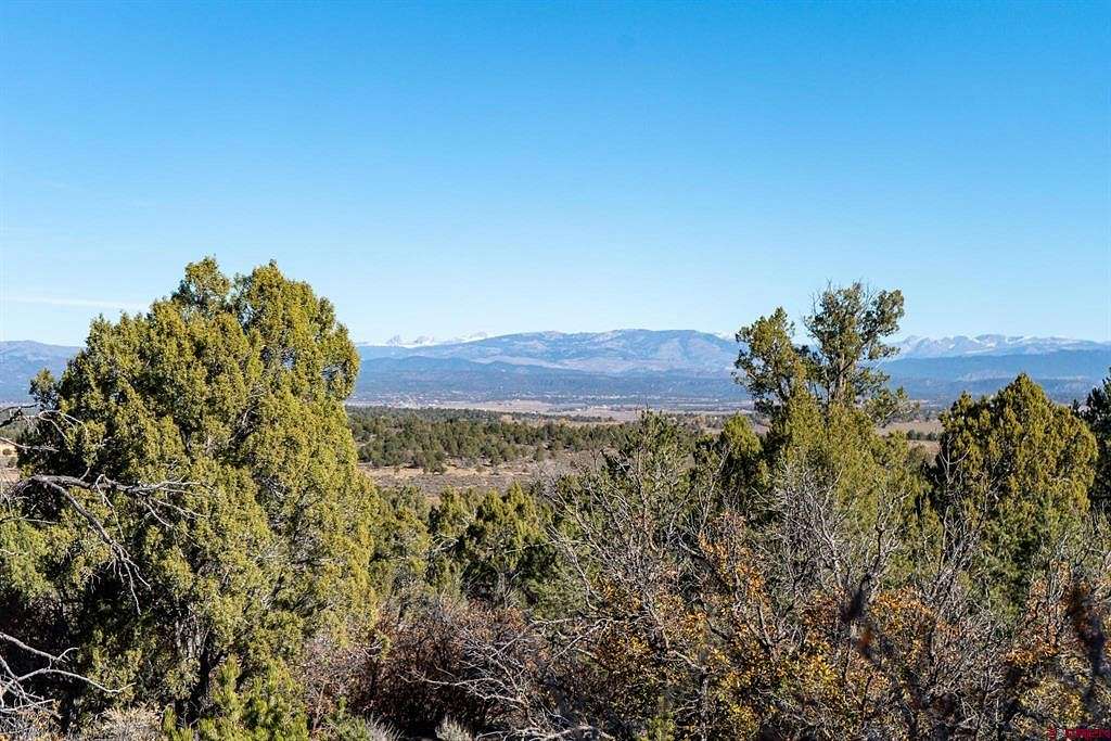 42 Acres of Land for Sale in Ignacio, Colorado