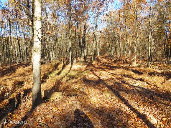 19.5 Acres of Recreational Land for Sale in Rockwood, Tennessee