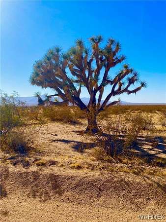 40 Acres of Land for Sale in Yucca, Arizona