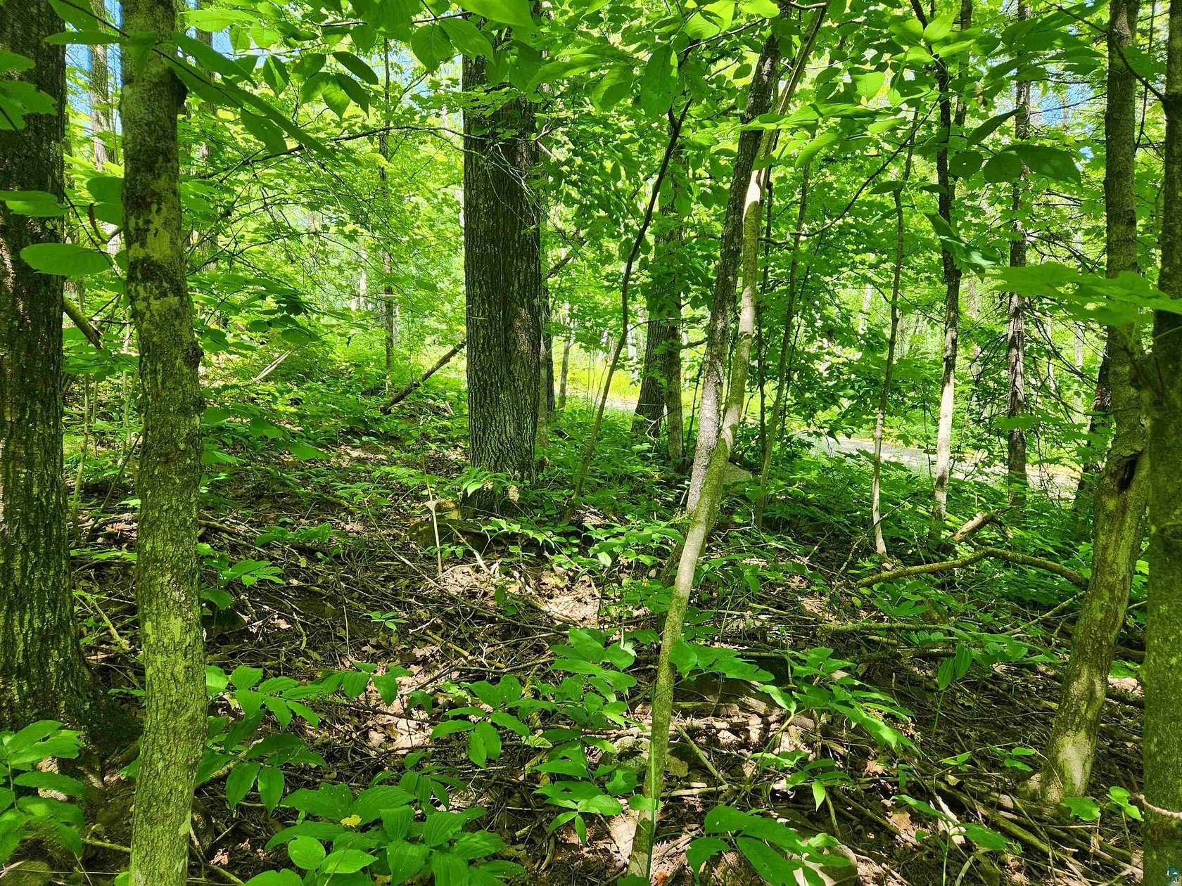 1.26 Acres of Residential Land for Sale in Bayfield, Wisconsin