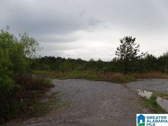 21.3 Acres of Land for Sale in Calera, Alabama