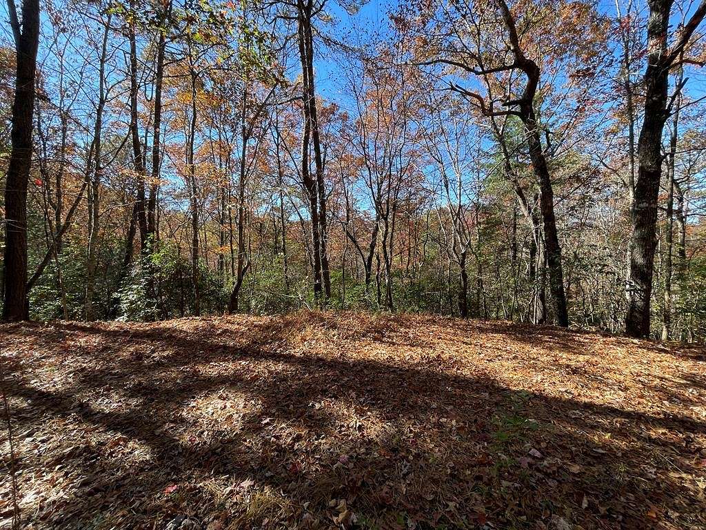 1.3 Acres of Residential Land for Sale in Robbinsville, North Carolina