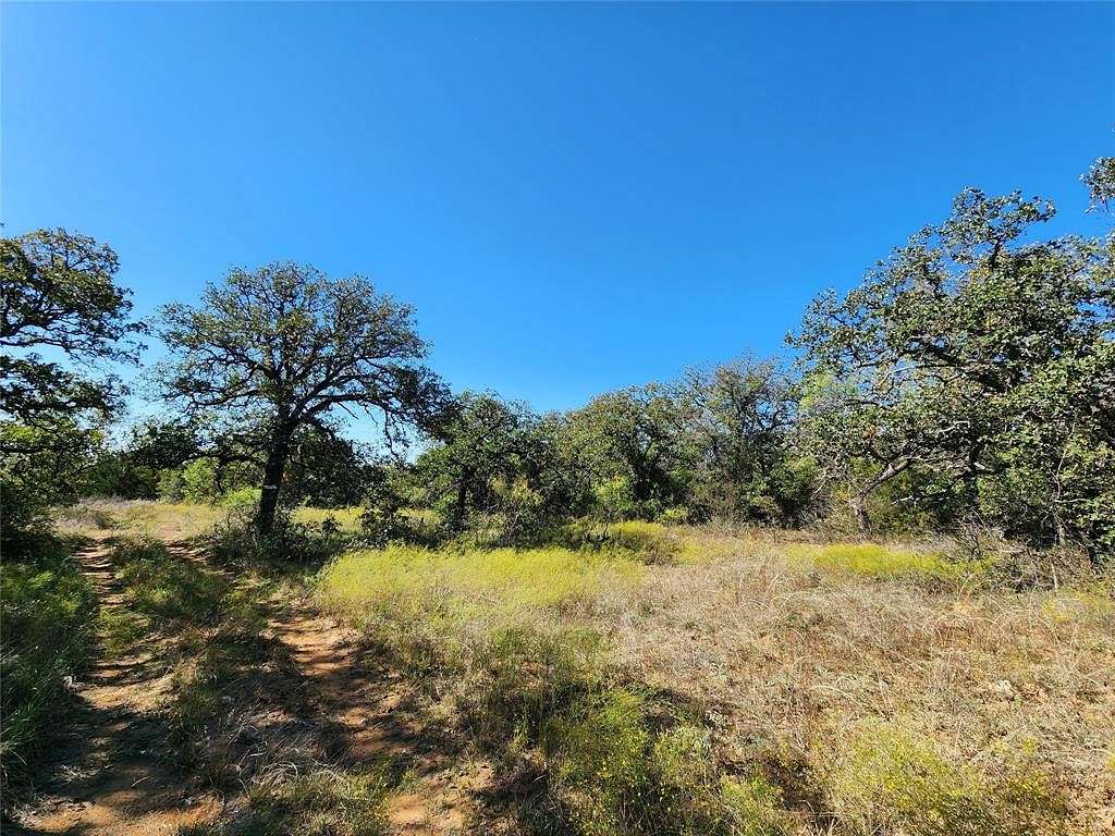 74.8 Acres of Recreational Land for Sale in Brownwood, Texas