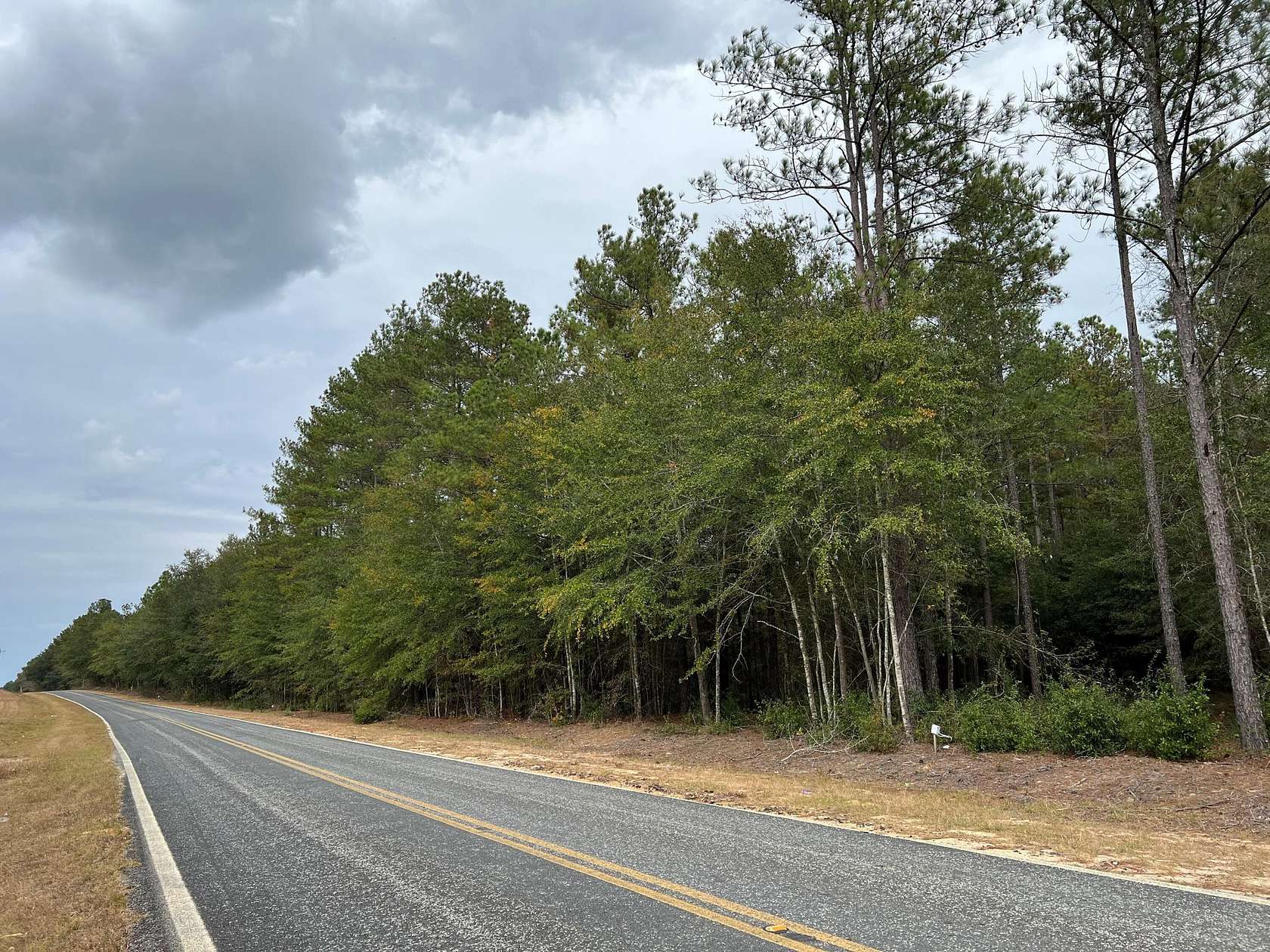 3 Acres of Land for Sale in Salley, South Carolina
