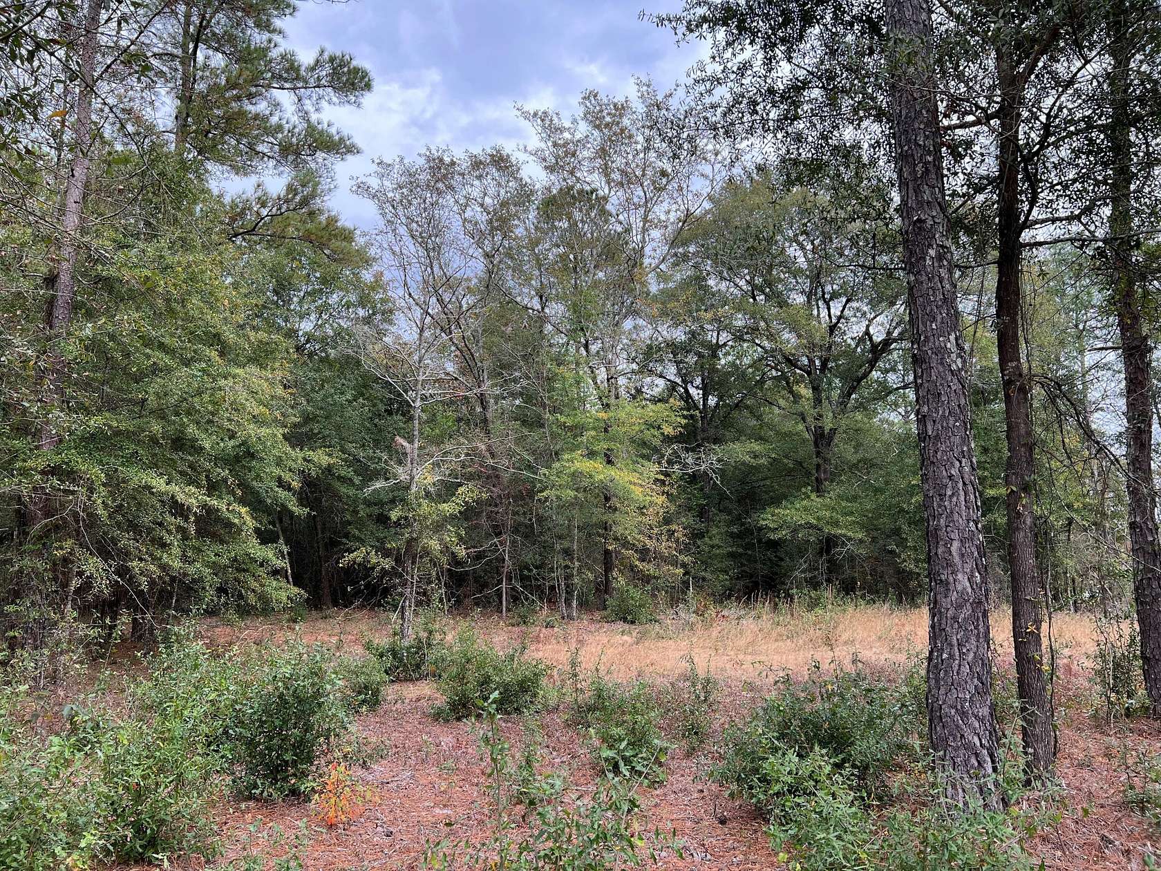 3.6 Acres of Land for Sale in Salley, South Carolina
