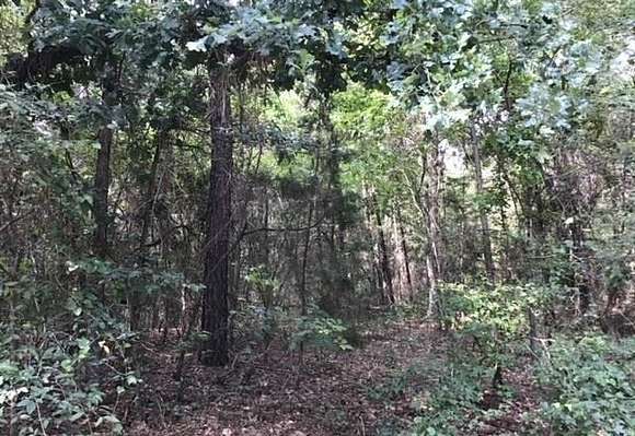 37.5 Acres of Recreational Land for Sale in Pittsburg, Texas