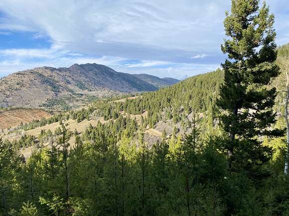 18.7 Acres of Recreational Land for Sale in Butte, Montana