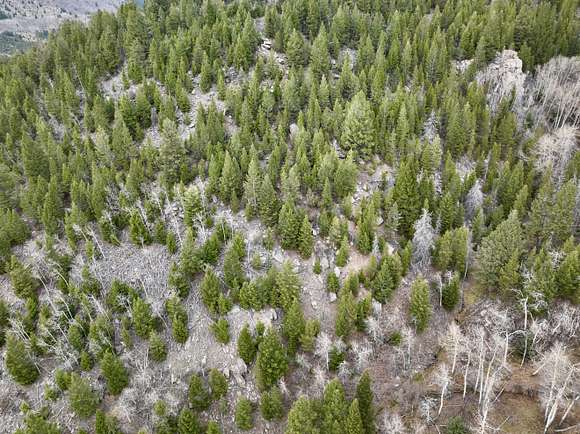 1.4 Acres of Land for Sale in Butte, Montana