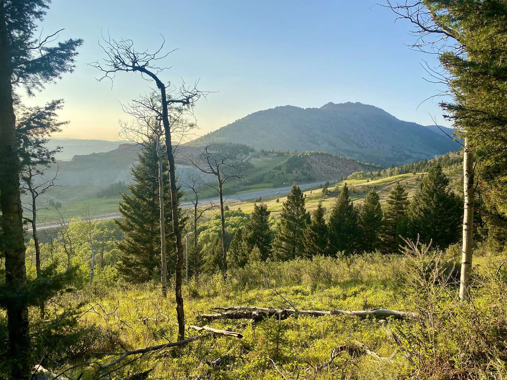 15.7 Acres of Recreational Land for Sale in Butte, Montana