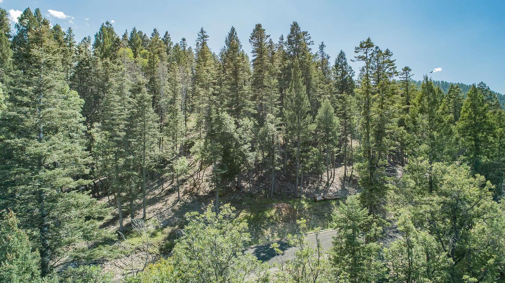 1 Acre of Residential Land for Sale in Cloudcroft, New Mexico