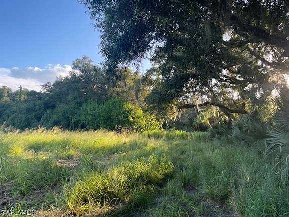 20.7 Acres of Agricultural Land for Sale in Fort Denaud, Florida