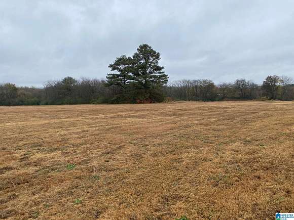 19.3 Acres of Commercial Land for Sale in Birmingham, Alabama