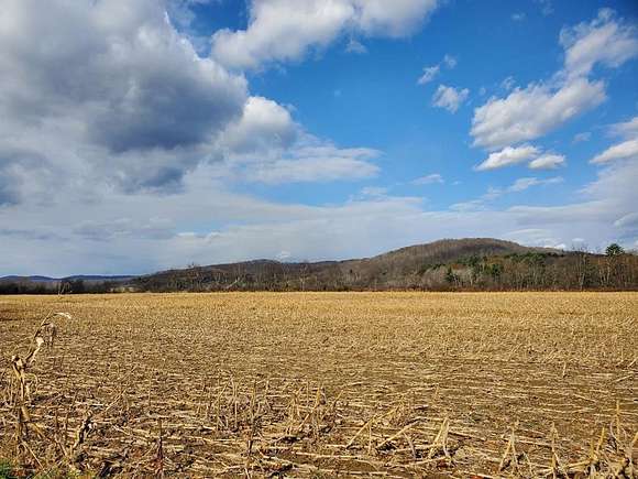 73.9 Acres of Land for Sale in Shinglehouse, Pennsylvania