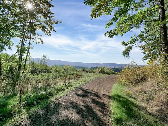 160 Acres of Recreational Land for Sale in Scotts Mills, Oregon