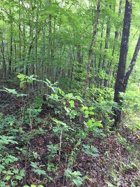 5.3 Acres of Residential Land for Sale in Wilder, Tennessee