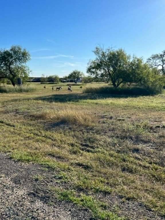 1.08 Acres of Residential Land for Sale in Sandia, Texas