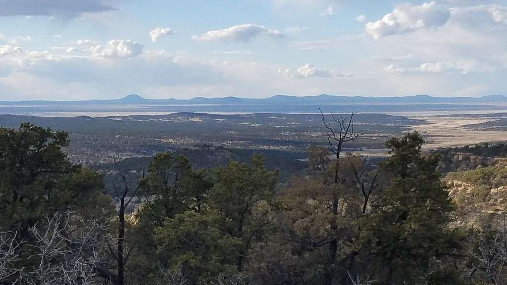 26.6 Acres of Land for Sale in Pie Town, New Mexico