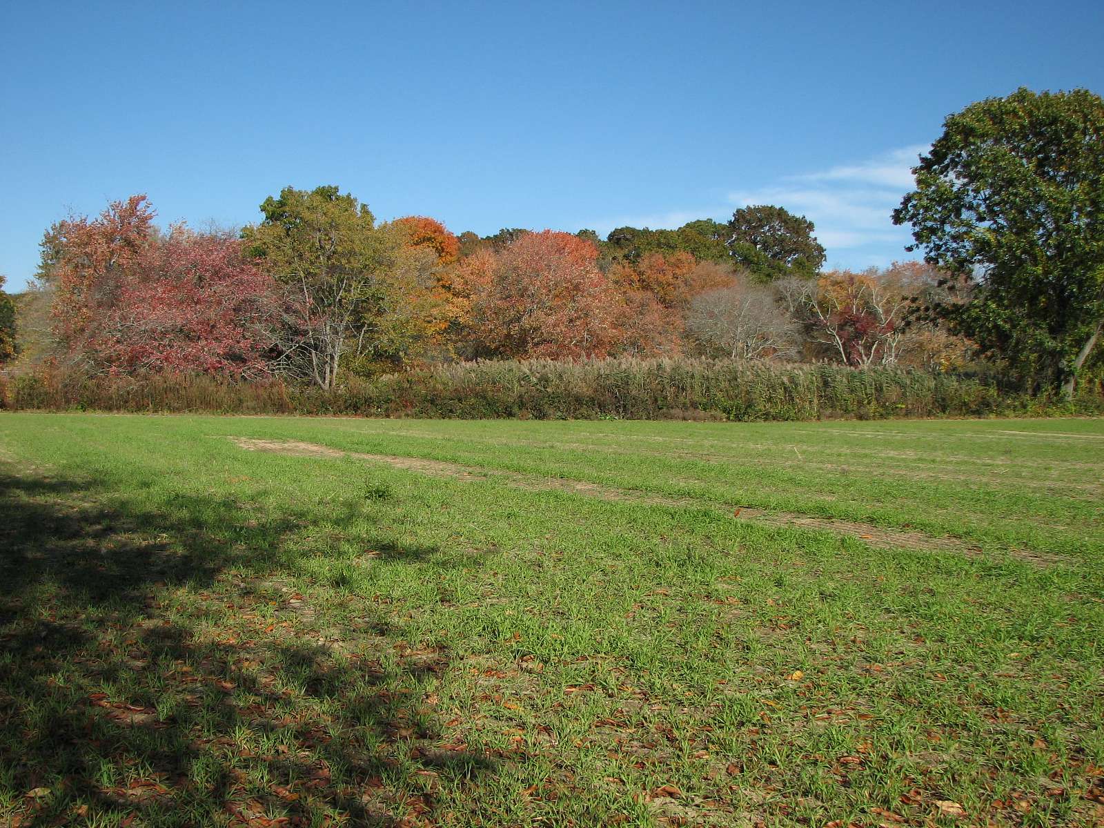 6.5 Acres of Land for Sale in Seekonk, Massachusetts