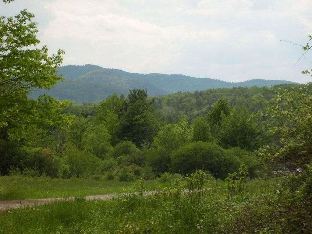 24 Acres of Land for Sale in Westport, New York