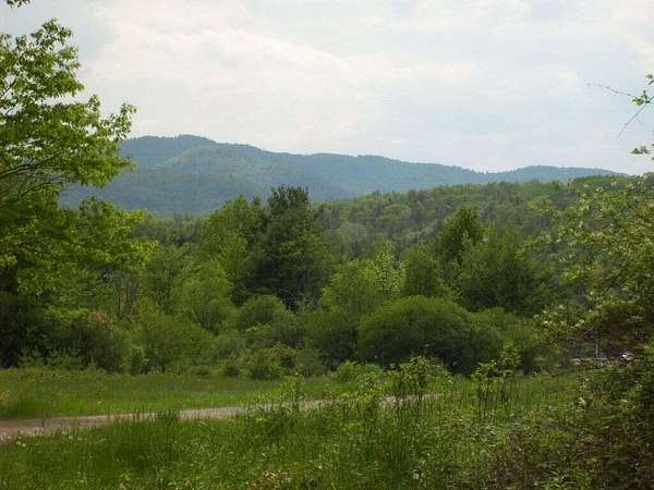 24 Acres of Land for Sale in Westport, New York