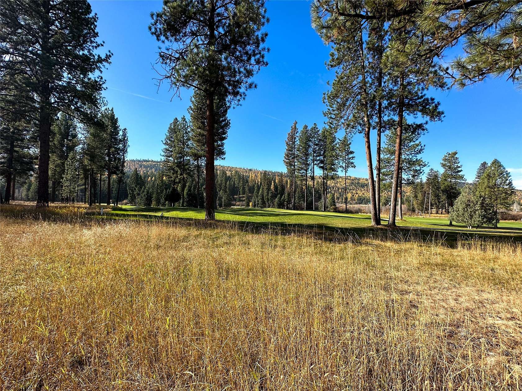 1 Acre of Residential Land for Sale in Seeley Lake, Montana