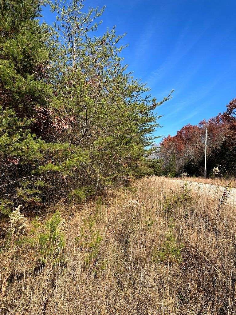 6.2 Acres of Residential Land for Sale in Wilder, Tennessee