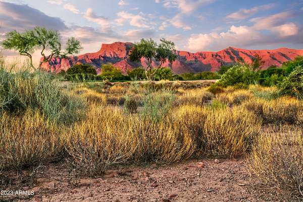 0.3 Acres of Residential Land for Sale in Gold Canyon, Arizona